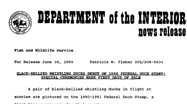 Black-Bellied Whistling Ducks Debut on 1990 Federal Duck Stamp; Special Ceremonies Mark First Days of Sale June 30, 1990