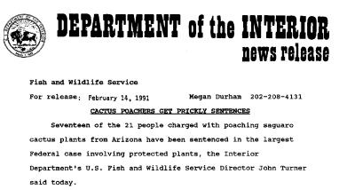 Cactus Poachers Get Prickly Sentences February 14, 1991