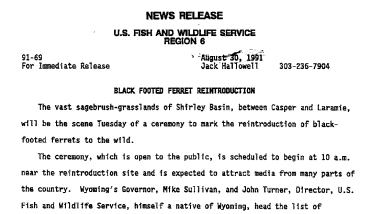 Black Footed Ferret Reintroduction August 30,1991