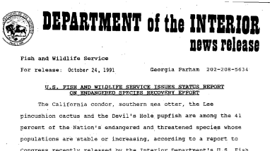 U.S. Fish and Wildlife Service Issues Status Report on Endangered Species Recovery Effort October 24,1991