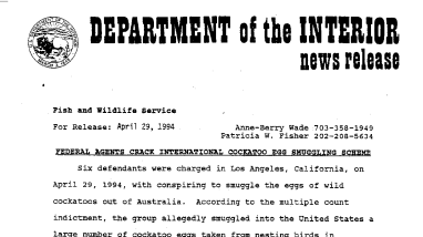 Federal Agents Crack International Cockatoo Egg Smuggling Scheme April 29, 1994