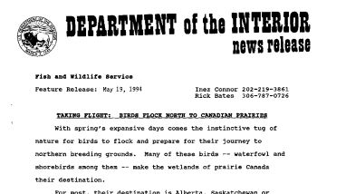 Taking Flight: Birds Flock North to Canadian Prairies May 19, 1994