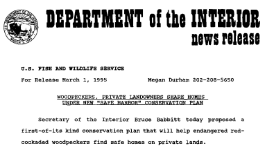 Woodpeckers, Private Landowners Share Homes Under New "Safe Harbor" Conservation Plan March 01, 1995