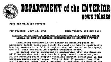 Continuing Decline in Breeding Populations of Migratory Geese Likely to Lead to Hunting Restrictions in Atlantic Flyway July 14, 1995