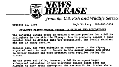 Atlantic Flyway Canada Geese: A Tale of Two Populations October 11, 1995