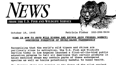 Time Is Now to Save Wild Tigers and Rhinos Says Federal Agency; Announces Formation of Broad-Based Partnership October 19, 1995