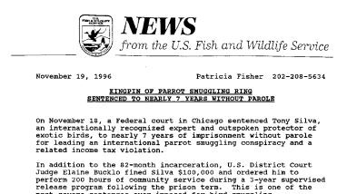 Kingpin of Parrot Smuggling Ring Sentenced to Nearly 7 Years Without Parole November 19, 1996