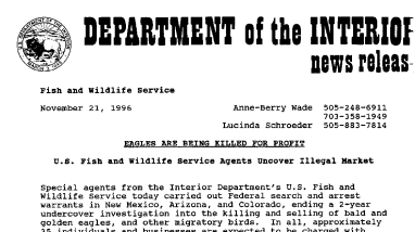 Eagles Are Being Killed for Profit November 21, 1996