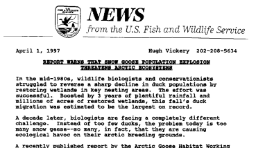 Report Warns That Snow Goose Population Explosion Threatens Arctic Ecosystems April 01,1997