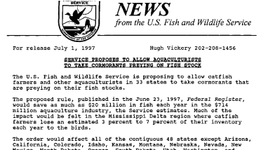 Service Proposes to Allow Aquaculturists to Take Cormorants Preying of Fish Stock July 01,1997