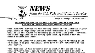 Breeding Surveys of Atlantic Flyway Canada Geese Show Decline in Pairs but Good Nesting Success July 29, 1998