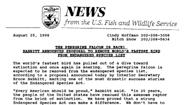 The Peregrine Falcon Is Back! Babbitt Announces Proposal to Remove World's Fastest Bird From Endangered Species List August 25, 1998