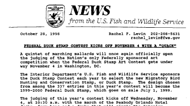 Federal Duck Stamp Contest Kicks off November 4 With A "Quack" October 28, 1998