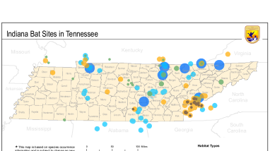 Indiana Bat Sites in Tennessee - Map