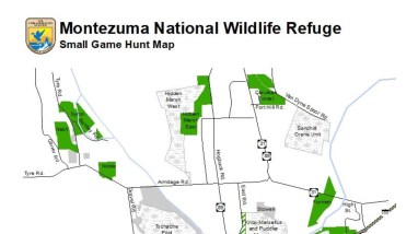 montezuma-nwr-small-game-hunt-regulations-2023-2024.pdf