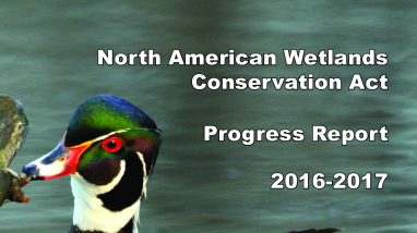 North American Wetlands Conservation Act Progress Report 2016-2017