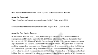 Peer Review Plan for Steller’s Eider– Species Status Assessment Report