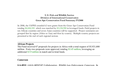 Project summaries Great Ape 2008