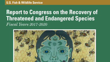 Report to Congress on the Recovery of Threatened and Endangered Species: Fiscal Years 2017-2020