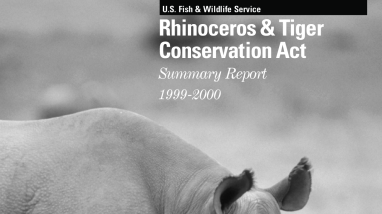 Project summaries Rhino Tiger 1999-2000 RTCA summary report