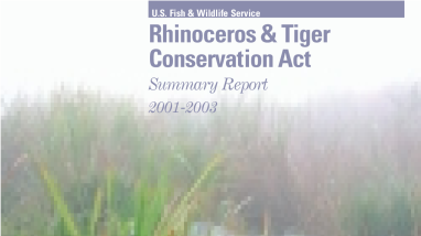 Project summaries Rhino Tiger 2001-2003 RTCA summary report