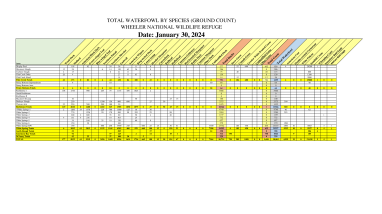 wheeler-nwr-waterfowl-count-01-30-2024.pdf