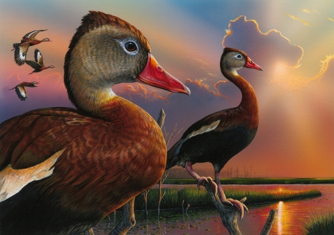 an acrylic painting of a black-bellied whistling-duck pair standing on the bank with two more in flight with a sunrise in the background by Eddie LeRoy