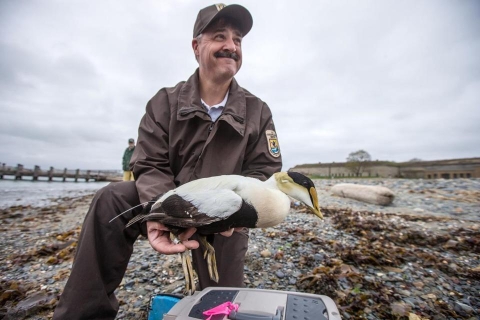 USFWS volunteer