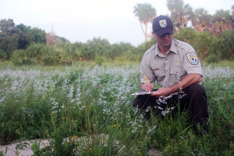 A man dressed in USFWS uniform writes notes while kneeling in an open field.