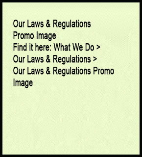 Laws and Regulations promo graphic