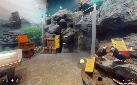 Exhibits and 3D VR Tour links in the Alaska Maritime National Wildlife Refuge Visitor Center. Exhibits include a mural of coastal Alaska, seabird models, and fabricated cliffs.