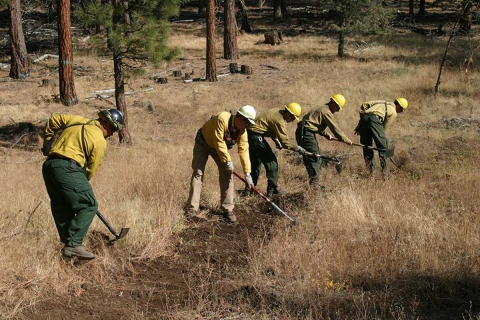 Five men in protective gear rake-up vegetation to prevent fire from moving across the entire landscape
