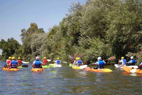 A dozen or more kayakers in personal floatation devices and helmets navigate a river with deciduous trees on the bank