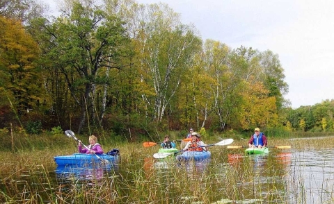 A half dozen kayakers navigate a wetland in fall