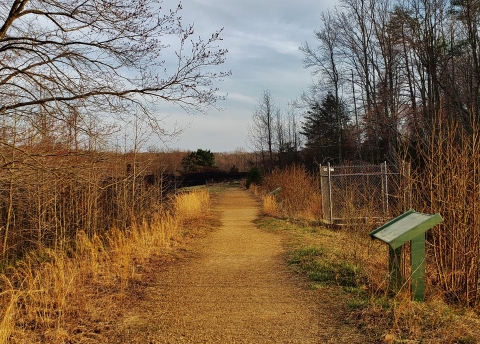 Trail with interpretive sign next to it on the right side