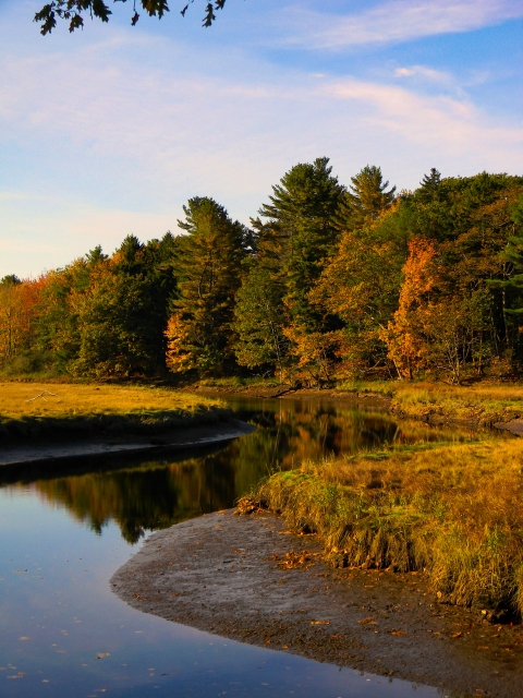 Carson Trail overlook in Fall