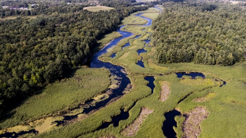 Cranberry Creek Wetland Restoration