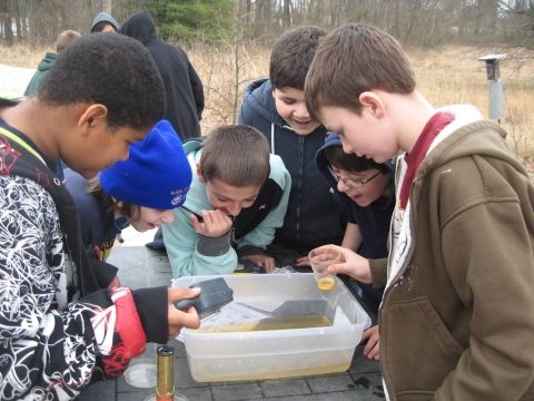 Students examining specimens in a plastic tub at the rufge