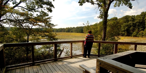 A visitor looking out at Great Marsh on Mason Neck NWR