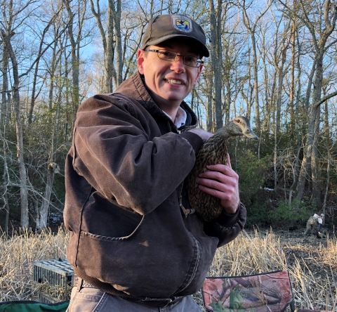 The Potomac River NWRC Biologist holds an American Black Duck.