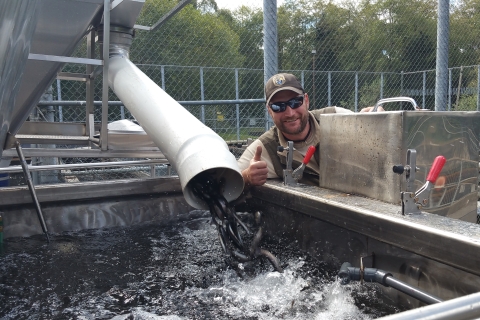 Quinault National Fish Hatchery staff transferring Steelhead from their rearing raceways to the Quinault Indian Nation net pens.