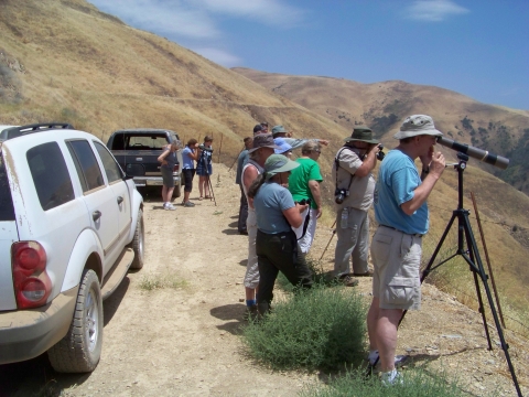 About 10 visitors, some looking through scopes and cameras, are on the right edge of a cliffside road. Behind them are rugged golden hills with some green shrubs and a blue sky above.