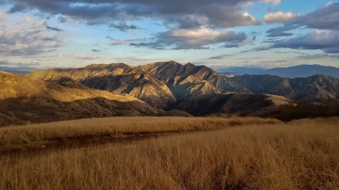 A golden grass rolling field approaches a canyon with rugged ridgelines continuing into the top third of the image which is light gold and clue sky with fluffy white and grey clouds