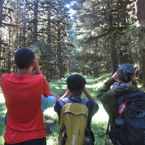 Children into birding and very focused on finding and identifying birds on the bird walk during a camping trip