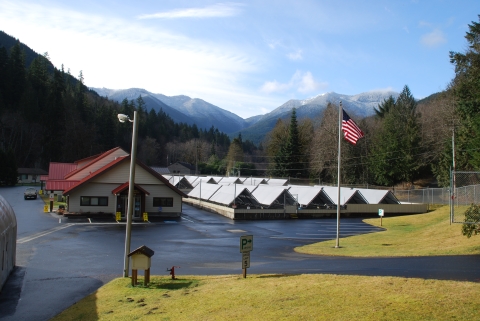 Image of the Quilcene National Fish Hatchery Facility