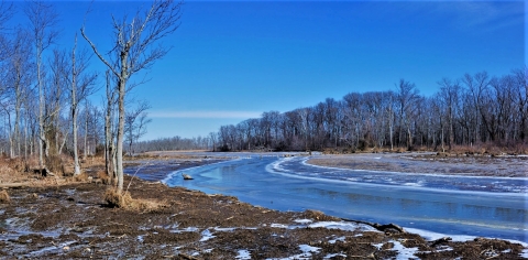 An icy creek cuts through a brown landscape, bordered by leafless trees.