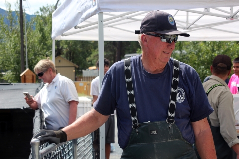 A man dressed in blue US Fish and Wildlife Service volunteer shirt and hat helps during spawning 