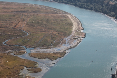 An aerial photo of a tidal marsh along a river