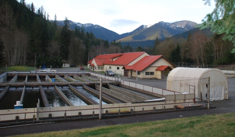 View of Quilcene National Fish Hatchery in WA State