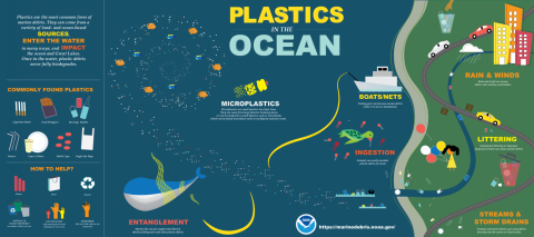 Infographic shows commonly found plastics in the ocean.